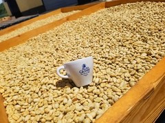 Alto Grande Coffee 32 Ounce Super Premium Whole Bean 100 Arabica Coffee