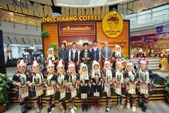 3X Thai Premium Organic Peaberry Classic Coffee Bean Doi Chang Medium Roasting