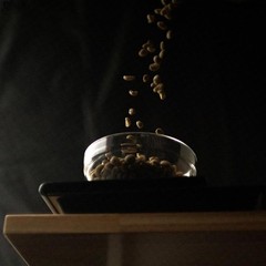Fresh Roasted Coffee, Costa Rican Tarrazu Unroasted 80 Ounce (Pack of 1)
