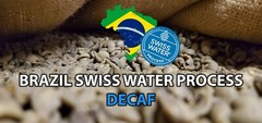 5 LB BRAZIL SWP SWISS WATER PROCESS UNROASTED GREEN COFFEE BEANS – ARABICA DECAF