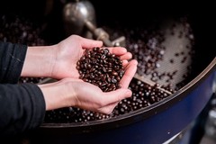 【GUATEMALA】EL PLATANILLO -GEISHA- 300g Roasted in Nara, Japan