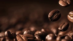 2025 PLANTATION BLEND – 1 bag 8 ozs – FRESH ROASTED WHOLE BEAN COFFEE