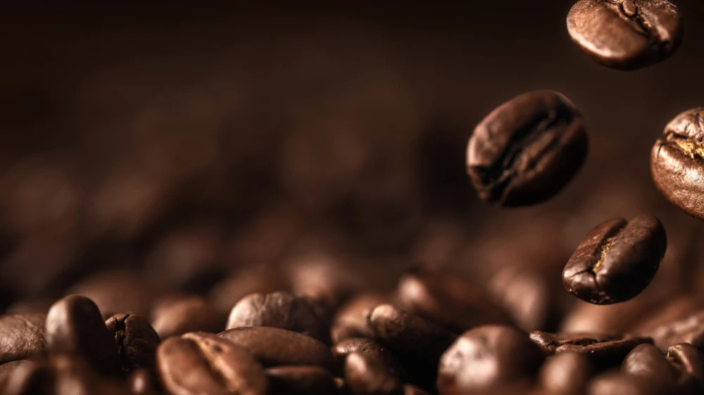 2026 PLANTATION BLEND – 1 bag 8 ozs – FRESH ROASTED WHOLE BEAN COFFEE