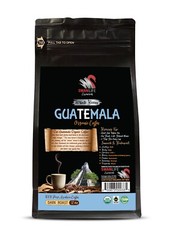 arabica coffee – beans whole – GUATEMALA COFFEE ORGANIC – whole beans 1B