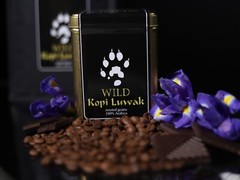 Wild Kopi Luwak 200gr. An elite gift – a real Wild Kopi Luwak from Indonesia