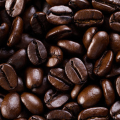Coffee Beans Panama Bouquet Fresh Roasted Dark Daily 2 Pounds, 1 Pound Bags