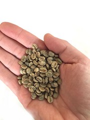 3 lbs Green Coffee – Brazil green beans – specialty grade green beans
