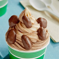 Albanese Milk Chocolate Covered Pecans 10 lb. WS-711ALB1005