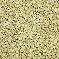 5 LBS GUATEMALAN QUETZAL BIRD FRESH UNROASTED GREEN COFFEE BEANS – ARABICA