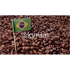 Coffee Brazil Santos Fine,Natural Process, Arabica,Fresh Roast,Medium Dark 100 g