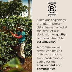 Classico Whole Bean Coffee Medium Roast Classic Roast W/ Notes Of Caramel Orange