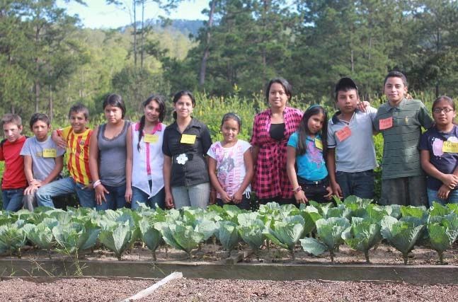 Honduras Comsa Marcala Shadegrown & Fair-trade Organic