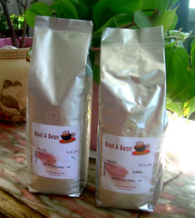 ORGANIC Haitian Blue Mountain Coffee Medium / Light Roast 10 Lbs