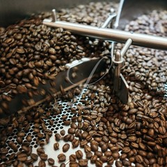 Kona Extra Fancy Coffee, 5 x 1 lb Bags, Medium Roasted to Order or Green Beans