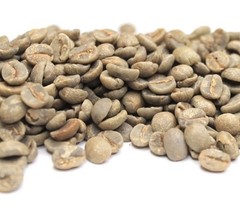 Green Coffee Beans / Brazil Oberon Cerrado / 10 Pound / UNROASTED