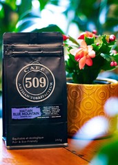 Cafe 509 Haitian Blue Mountain Coffee Ground Organic Medium Roast 8.8 oz