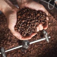 10 lbs of AUTHENTIC Kona Extra Fancy Coffee – Free Shipping!