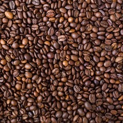 Coffee Beans / Ethiopian Durato Bombe Sidamo / 5 Pound / ROASTED