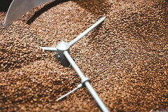 Tropical Weather Whole Bean Espresso Coffee Blend – Medium to Light Roasted Coff