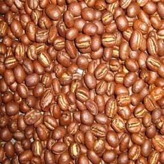 BRAZILIAN JAZBLU PEABERRY COFFEE BEANS MEDIUM ROASTED 2 OR 5 POUNDS