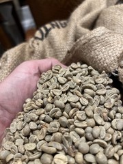 Costa Rica green coffee beans 4lbs