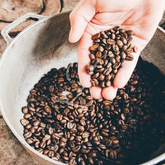 Kona Extra Fancy Coffee, 5 x 1 lb Bags, Medium Roasted to Order or Green Beans