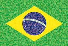 1 LB BRAZIL SWP SWISS WATER PROCESS DECAF COFFEE ROASTED WHOLE BEAN, GROUND