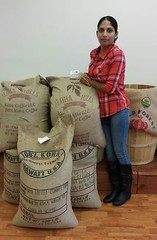 100% Hawaiian Kona Coffee Beans Medium Roasted Daily 2 Pounds In 1 Pound Bags.