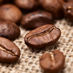 2026 COLOMBIAN SUPREMO, 1 Bag FRESH ROASTED COFFEE – Gourmet Coffee Beans