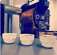Organic Dark Roast Sumatra, Whole Bean Coffee / 2 LB Best By 11-03-26