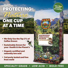 Low Acid Organic Coffee – Whole Bean, Mold-Free & Stomach Friendly by , Espresso