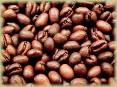 PAPUA NEW GUINEA COFFEE BEANS PEABERRY MEDIUM ROASTED 2 POUNDS