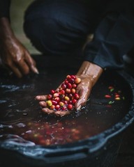 Unchartered Coffee – 1804: Honduras, Decaf