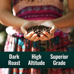 Organic Clean Coffee Dark, Mold & Mycotoxin Free, Lab Tested for Toxins & Purity