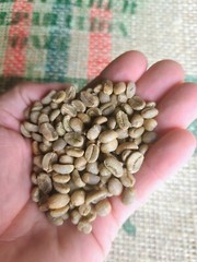 COLOMBIA COFFEE BEANS (UNROASTED-GREEN)
