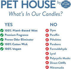 Pumpkin Pie Pet Odor Candle, 60 Hour Burn Time, 2 Pack