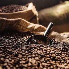 Richly Bold 10oz Dark Roast Sumatra Coffee – Fair Trade Organic Ground Coffee