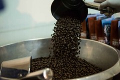 3X Thai Premium Organic Peaberry Classic Coffee Bean Doi Chang Medium Roasting