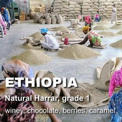 Ethiopia Harrar natural, unroasted green coffee, Grade 1, cooperative, 4lbs