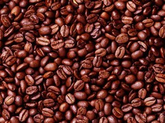 Lavanta Coffee Costa Rica Tarrazu Arabica Green or Roasted Coffee
