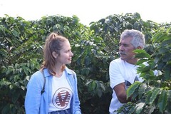 Green Unroasted coffee beans 10 pounds Colombia Pink Bourbon washed. NEW CROP!!!