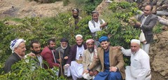 Authentic Mocha-Yemeni: Whole Bean Yemen Coffee