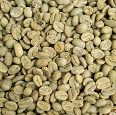Guatemala Cafe – Specialty Grade Organic Coffee – Single Origin – Medium Roast