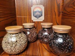 12 Oz Honduran Coffee | 100% Arabica Coffee Beans | Fresh Roasted Artisan Coffee
