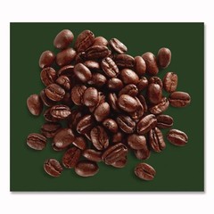 Peet’s Coffee & Tea 504916 2.5 oz. Major Dickason’s Blend Coffee (18/Box) New