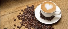 2, 5, 10 LB COLOMBIA EXCELSO FRESH ROASTED COFFEE WHOLE BEAN, GROUND – ARABICA