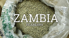 5 LB FRESH UNROASTED ZAMBIAN ZAMBIA PEABERRY GREEN COFFEE BEANS – ARABICA