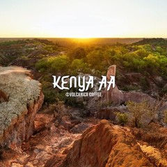 Kenya AA Coffee 100% Pure Whole Bean Fresh Roasted Kosher 16-ounce
