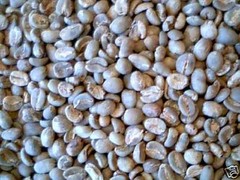 Lavanta Coffee Decaf Sumatra Gayo Mountain Mandheling Green or Roasted Coffee