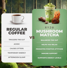 2 Pack Organic Mushroom Matcha COFFEE – 30 Servings Sealed Free Shipping !